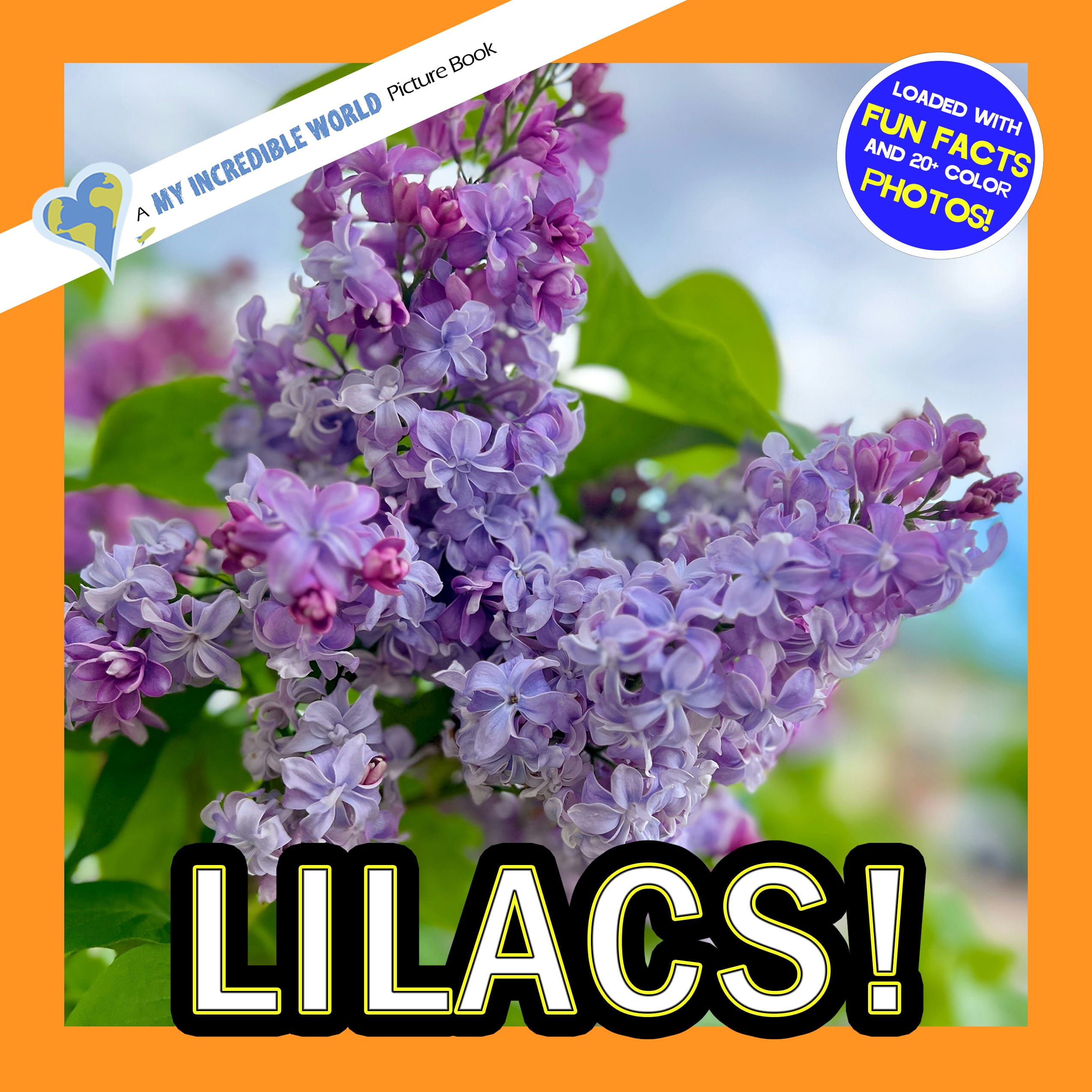 Lilacs! A My Incredible World Picture Book for Children
